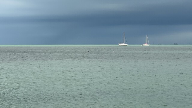 The light on the boats and the color of the water....so lovely!