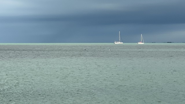 The light on the boats and the color of the water....so lovely!