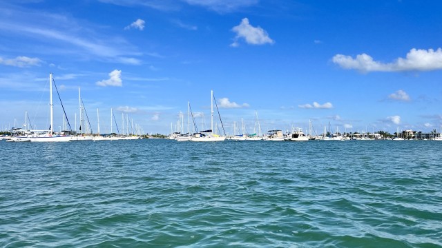 Boot Key Harbor anchorage...SO many boats everywhere...mostly sailboats.