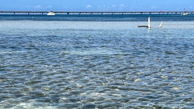 It was very shallow near the key, so we had to anchor far out and dinghy in.