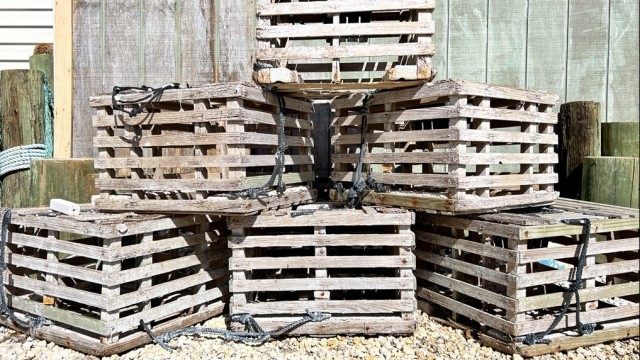Lobster traps at a local fishery