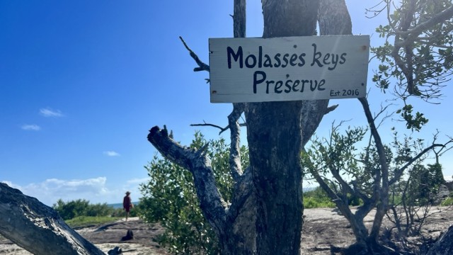 A fun handmade sign designating Molasses Key Preserve