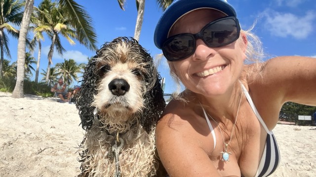 Moose went swimming...and of course rolled in the sand after!
