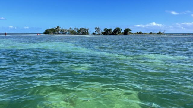 Molasses Key - View from the boat.