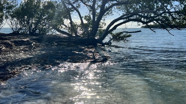 The water is so clear and gorgeous!