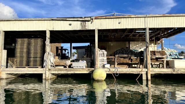 Fishing dock