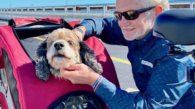 Moose is happy to have his personal carriage ride behind the bike.